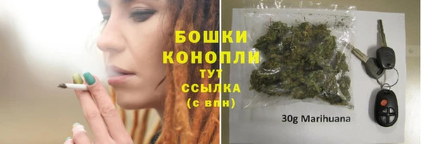 mdpv Белокуриха