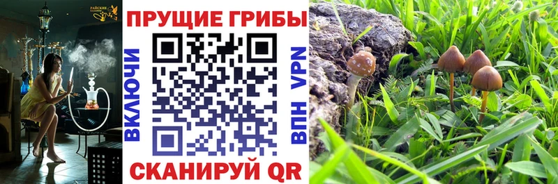 Галлюциногенные грибы Magic Shrooms  Чегем 